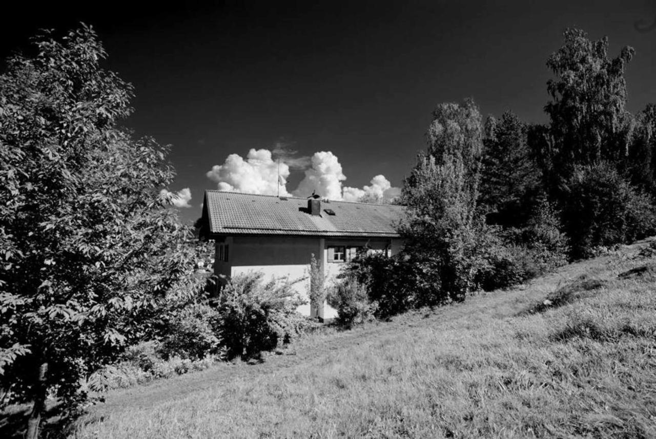 Ferienwohnungen Haus "Wildschuetz" 弗劳埃瑙 外观 照片