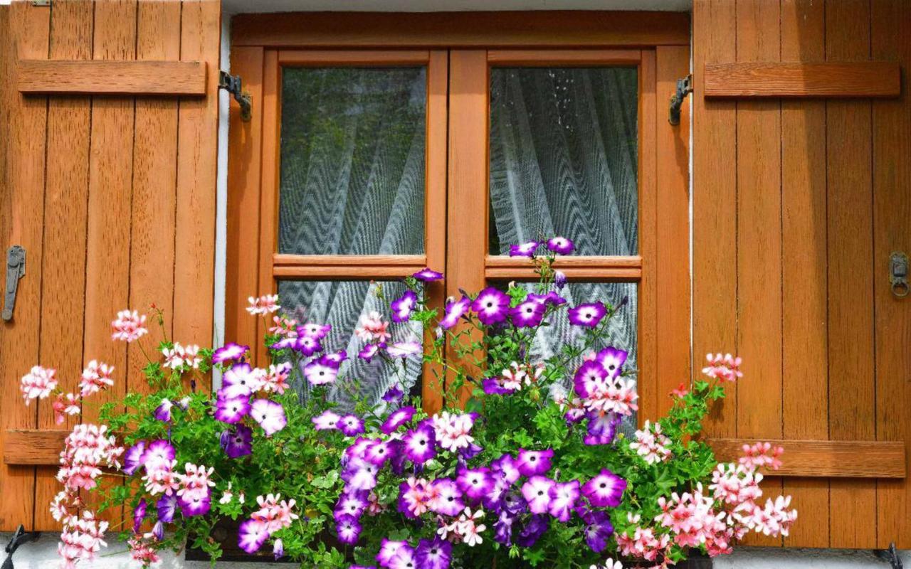 Ferienwohnungen Haus "Wildschuetz" 弗劳埃瑙 外观 照片